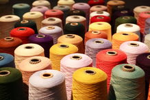 金鳳凰 讓家更美 更具設計感的高端墻布
